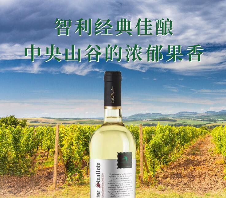 智利精选长相思干白葡萄酒