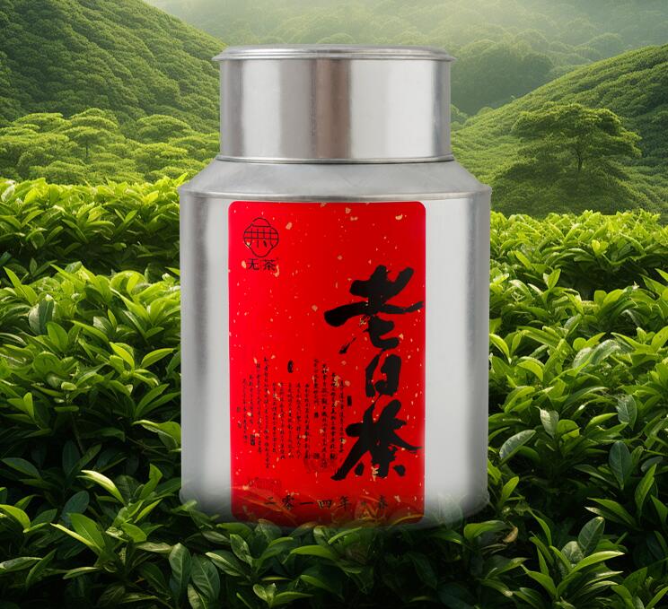 老白茶